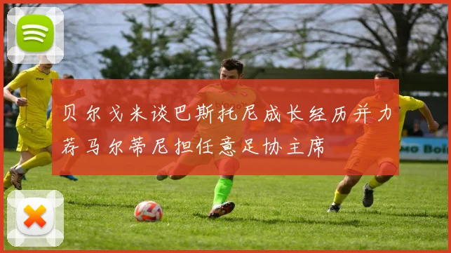 贝尔戈米谈巴斯托尼成长经历并力荐马尔蒂尼担任意足协主席