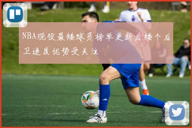 NBA现役最矮球员榜单更新后矮个后卫速度优势受关注
