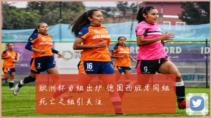 欧洲杯分组出炉 德国西班牙同组 死亡之组引关注